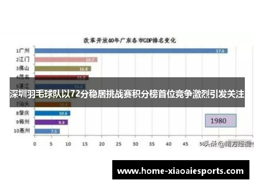 深圳羽毛球队以72分稳居挑战赛积分榜首位竞争激烈引发关注