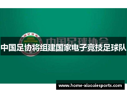 中国足协将组建国家电子竞技足球队
