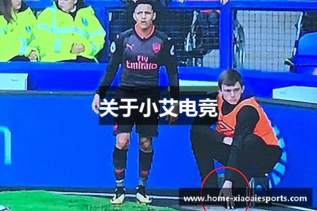 关于小艾电竞